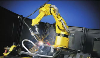 Muzze || Art & History Museum